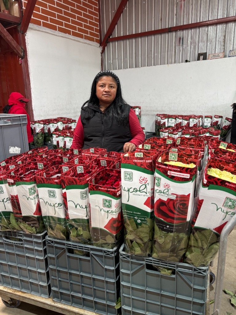 La clave de la trazabilidad para el cumplimiento de certificaciones florícolas internacionales