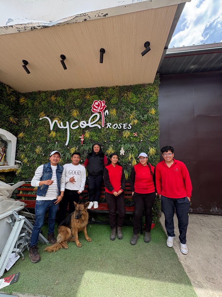Visita técnica de soporte al equipo de Nycol Roses